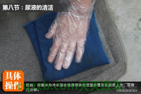 问题：车内污渍清除技巧_什么是车内污渍清除技巧  第28张