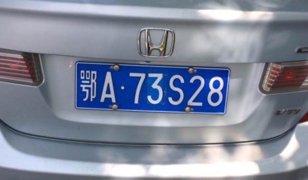 海是哪里的车牌(机动车辆号牌丢失能够驾驶车辆吗)  第3张
