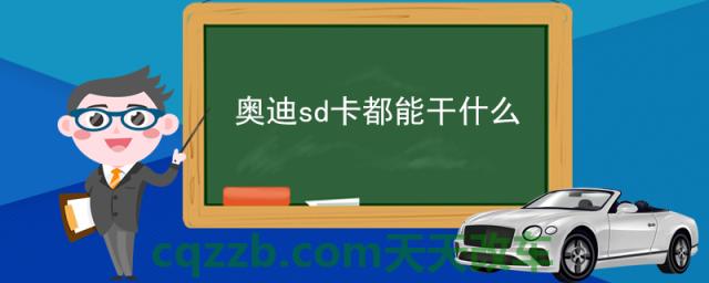 奥迪sd卡都能干什么(什么是sd卡)