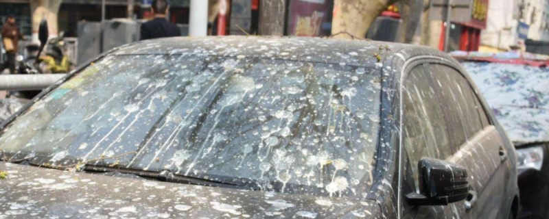 鸟屎掉车上会腐蚀车漆吗(隐形车衣粘贴需要办理备案手续吗)