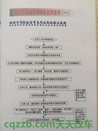 有用：申请机动车驾驶证年度审验办事指南_交通业务办理