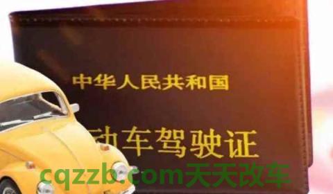 学驾照多大年龄可以学(机动车驾驶证的最小报考年龄限制)  第2张