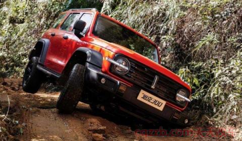 wey300是什么品牌车(wey300车辆的尺寸)  第2张