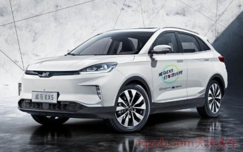 威马电动suv是哪个厂家(威马汽车简介)  第2张