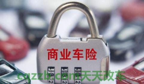 汽车保险到期了可以推迟多久交(汽车保险都有什么)  第3张