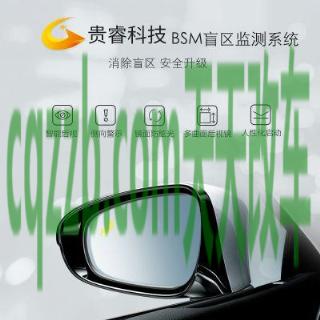 汽车分享：盲区监测系统和并线辅助 毛豆是什么车型的车  第2张
