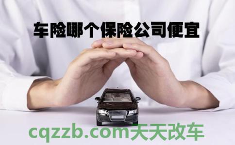 解答汽车：保车险哪家保险公司好_交通问题
