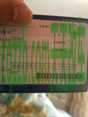 汽车分享：请问汽车年审标志是什么样子的_交通问题  第2张