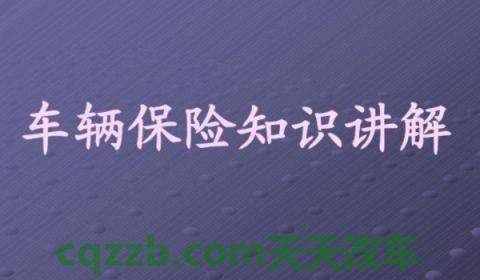 探究：汽车过户保险需要过户吗(车辆保险过户需要去哪里)  第3张