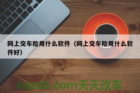 了解：怎么在网上买车险_交通问题