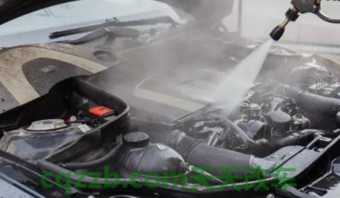 蛇从发动机舱能爬到驾驶室吗(发动机舱可以直接使用清水清理吗)  第2张