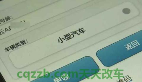 怎么查到自己的行驶证(机动车行驶证需要随身携带吗)  第2张