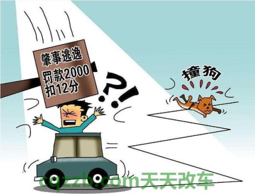 原来：交通肇事逃逸致人死亡的如何处罚_交通问题  第3张