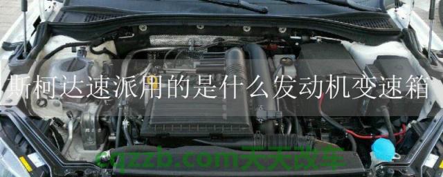 斯柯达速派用的是什么发动机变速箱(斯柯达速派变速箱)  第1张
