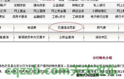 了解:哪几个银行可以交罚款_交通问题 第2张