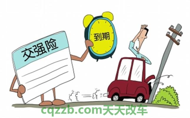 有用：机动车强制险每年交吗_交通问题  第2张