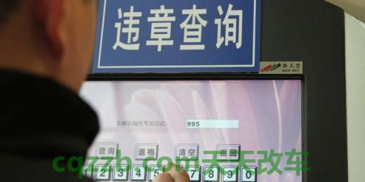 疑问：机动车违章未处理_交通业务办理  第2张