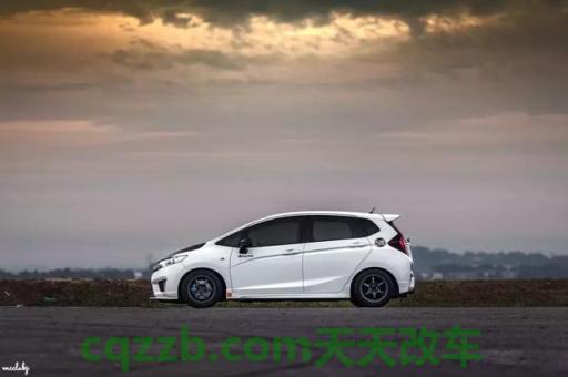 车友:飞度_什么是飞度 第3张