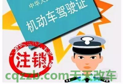 汽车问答：驾驶证怎么升级_交通问题  第4张