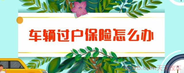 保险怎么过户给新车主(什么是交强险)