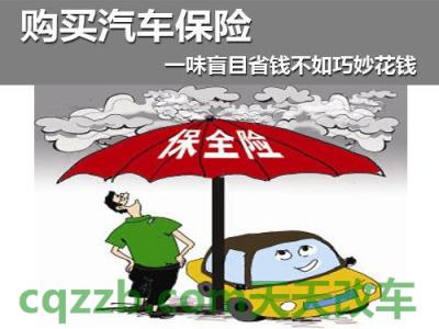 车友：新车必买保险_什么是新车必买保险  第13张
