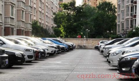 停车位颜色代表什么意思(不按规定停车怎样处罚) 第2张