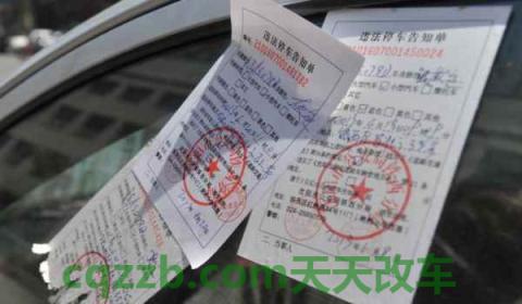 处理过的违章还能看照片吗(机动车辆违章违法行为可以不处理吗)  第3张