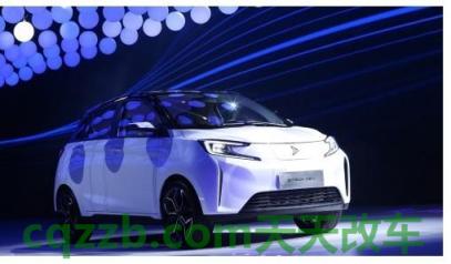 汽车有用：新特汽车_什么是新特汽车  第2张