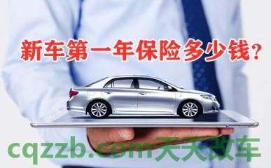 车友：新车必买保险_什么是新车必买保险  第31张