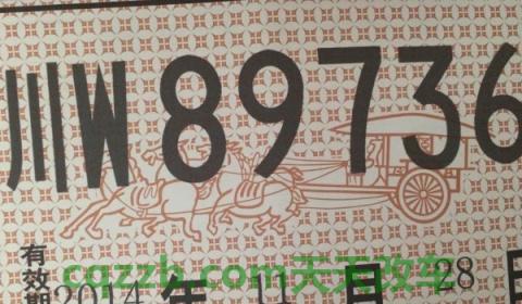 车辆临时牌照可以用多久(车辆临时牌照有几种) 第2张