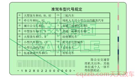 驾驶证成绩12123怎么查(机动车驾驶证共有多少个类型)  第3张