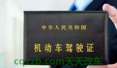 驾驶证锁定不处理多久正常(驾驶证怎么获得)  第2张