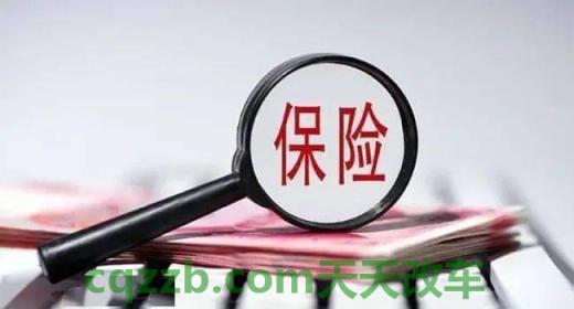 解答：车祸八级伤残鉴定标准有哪些 车祸保险包括误工费吗  第2张