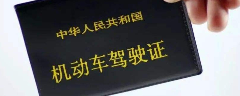 驾驶证上的照片能换吗(机动车驾驶证丢失在哪里补办)