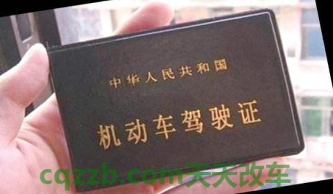 拿到驾照后成绩查不到了(驾驶证丢失需要去驾校吗)  第3张