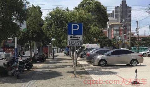 停车位颜色代表什么意思(不按规定停车怎样处罚) 第3张