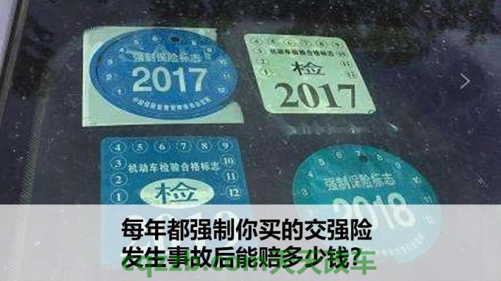 了解汽车：只买交强险可以吗_交通问题  第2张