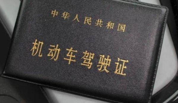 讲讲：驾驶证降级直接恢复(机动车驾驶证丢失在哪里补办)  第3张