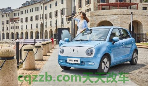 欧拉r1胎压监测复位(欧拉r1使用的电机类型)  第3张