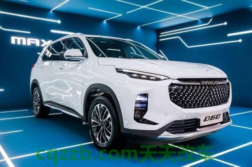 车回答：上汽MAXUS_什么是上汽MAXUS  第3张