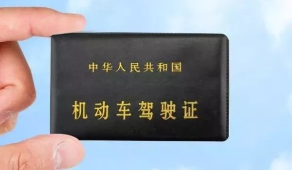 电子驾驶证是什么样子的(机动车驾驶证丢失怎么补办)  第2张