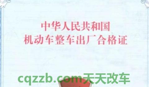 新车选号合格证编号怎么输(机动车合格证丢失怎么办)  第3张