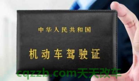 补驾驶证在哪儿办理(机动车驾驶证在哪里办理)  第2张