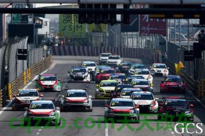 有用:WTCC世界房车锦标赛_什么是WTCC世界房车锦标赛 第3张