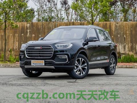 问答：野马汽车_什么是野马汽车  第4张