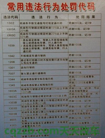 车问答：违章代码1006是什么意思_交通问题  第3张