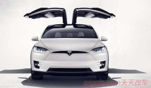 国产特斯拉电池供应商是谁(特斯拉车辆suv车辆有几款) 第3张