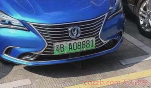 沪ag新能源牌照是咋回事(为什么会有新能源号牌) 第3张