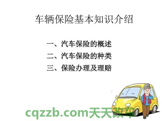 汽车知识：2018汽车保险基础知识大全_交通业务办理  第3张