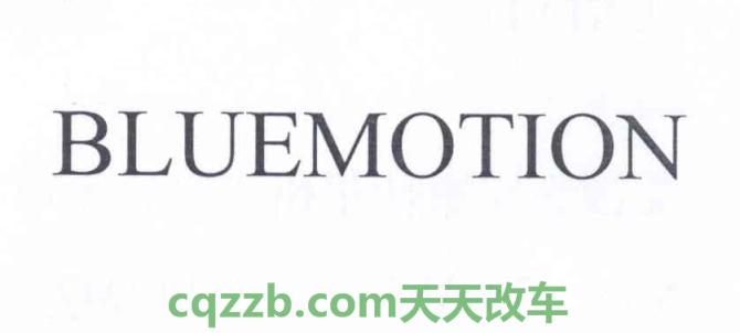 解答:BlueMotion_什么是BlueMotion 第2张